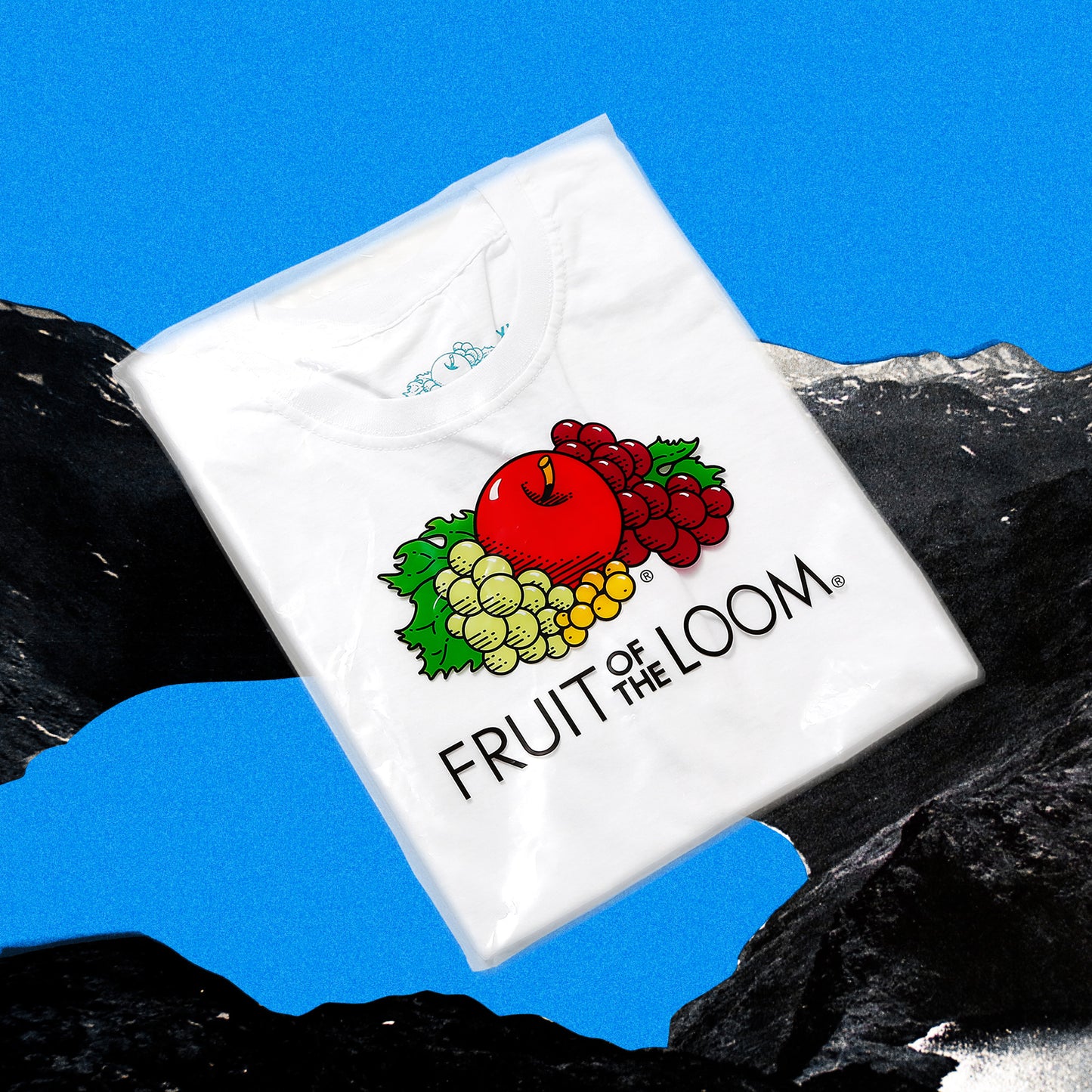 FRUIT OF THE LOOM 2PACK TEE
