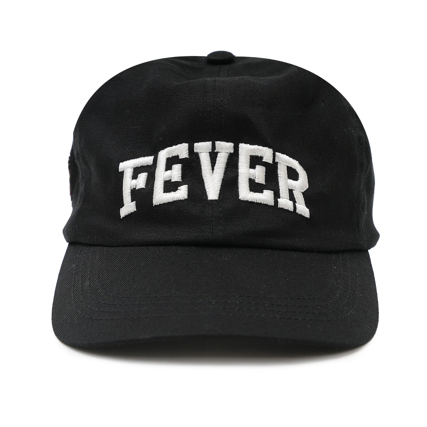 6 PANEL CAP (FEVER)