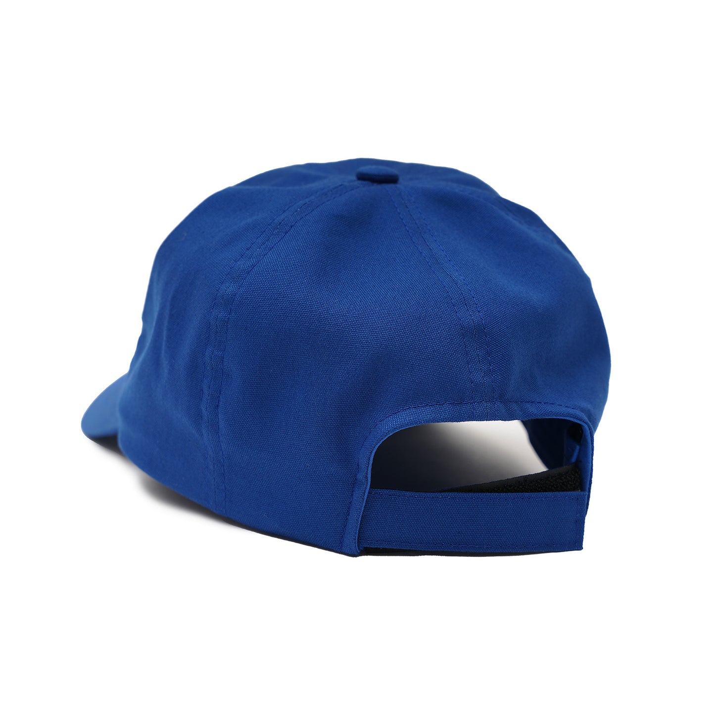 6 PANEL CAP (FEVER)