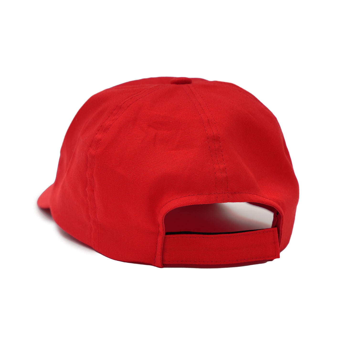 6 PANEL CAP (FEVER)