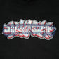 STASH PIECE + TRAINCAR HOODIE